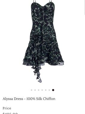 Alyssa Black Floral Silk Chiffon Dress